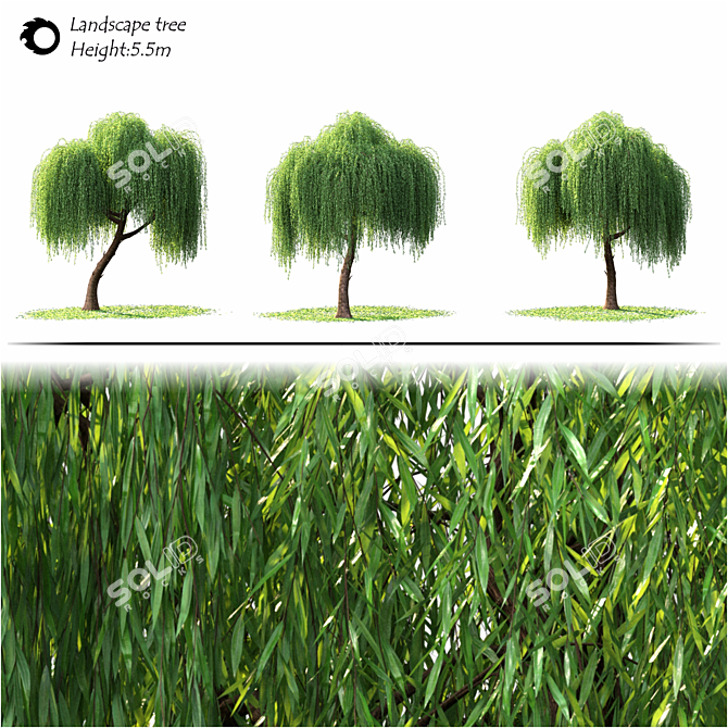 3D Landscape Tree Model - Corona Render 3D model image 2