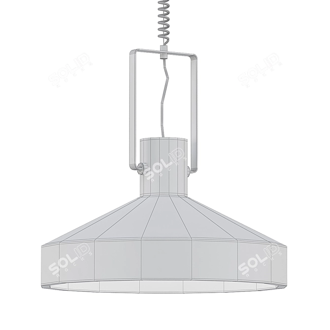 Modern Black Ceiling Light 3D model image 2