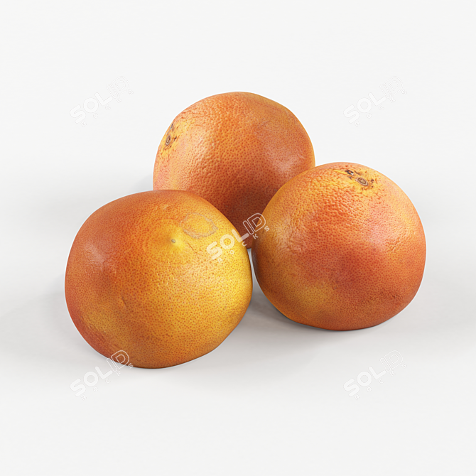 Fresh Juicy Oranges 3D model image 1