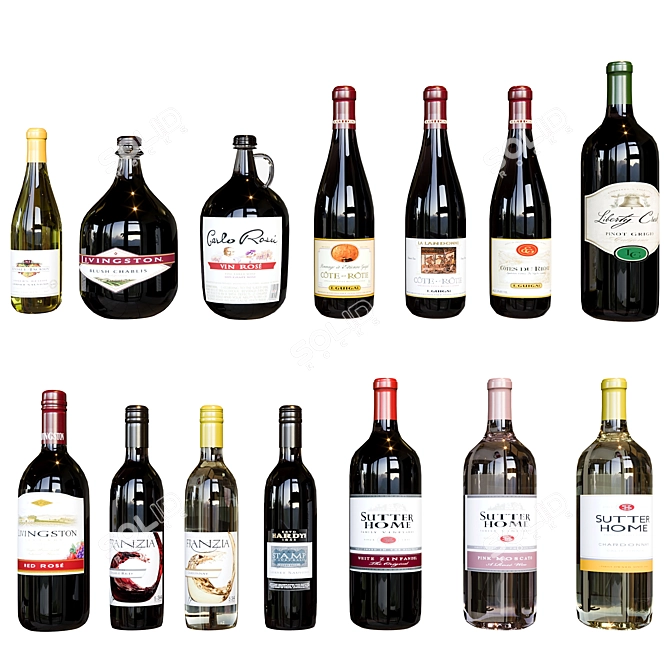  Diverse Wine Collection Set 3D model image 2