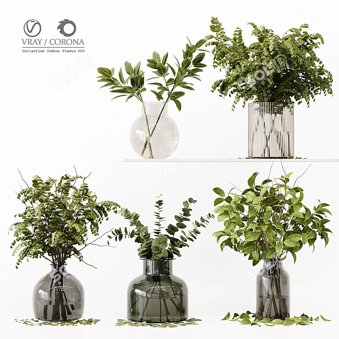 Premium Indoor Plant 3D Model 3D model image 1