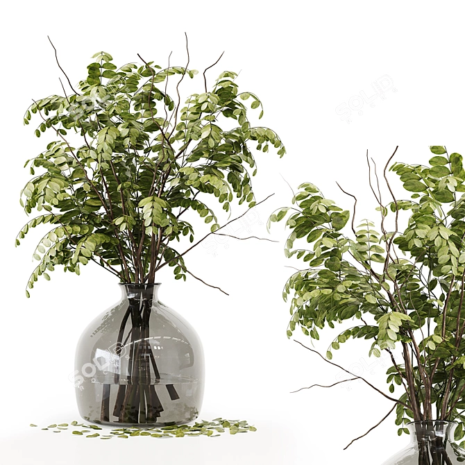 Premium Indoor Plant 3D Model 3D model image 2