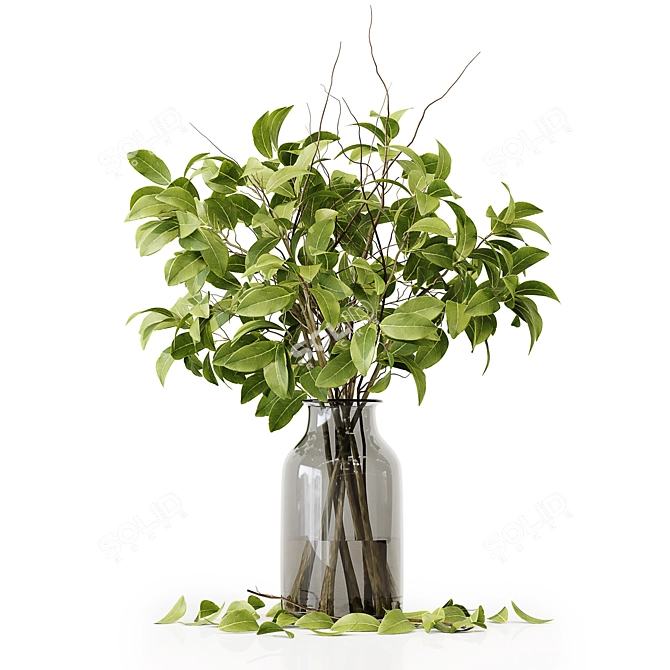 Premium Indoor Plant 3D Model 3D model image 4