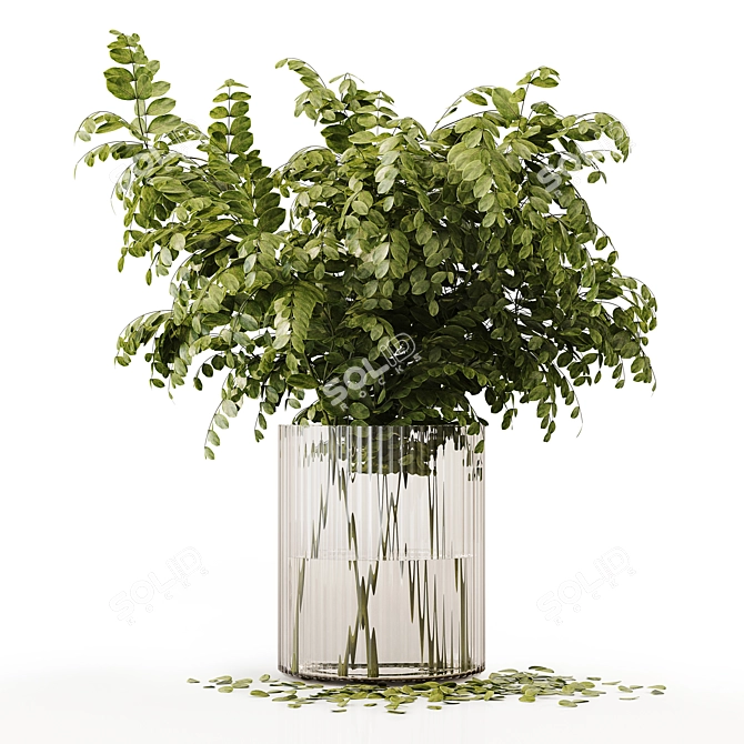 Premium Indoor Plant 3D Model 3D model image 5