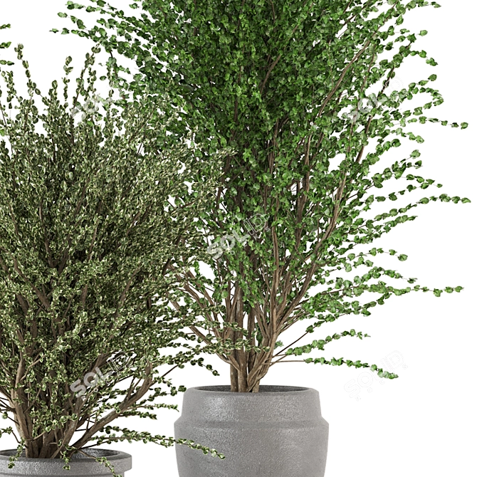 Creative Indoor Plants Collection 3D 3D model image 3