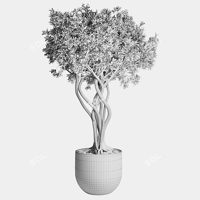 Bonsai Tree Concrete Planter Outdoor 3D model image 5