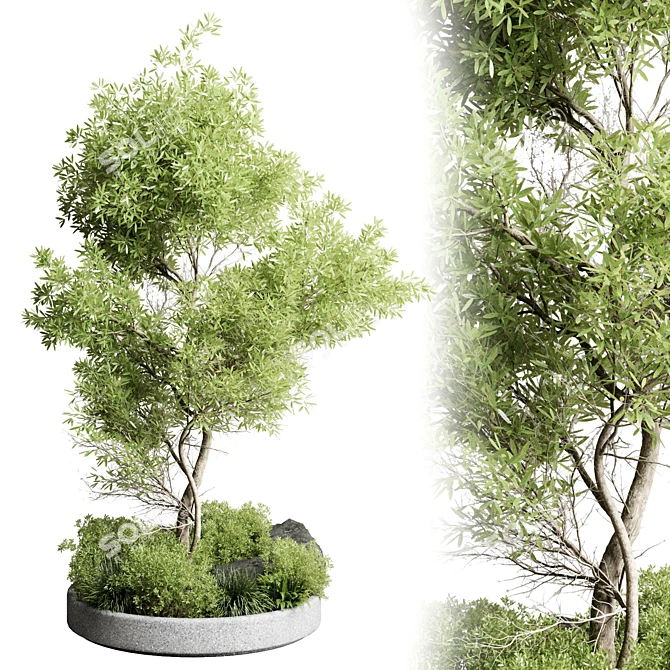 Versatile 85 Plant Pot Collection 3D model image 1