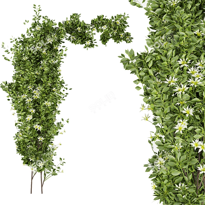 Premium Plant Collection for Outdoor Landscaping 3D model image 2