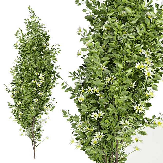 Premium Plant Collection for Outdoor Landscaping 3D model image 3