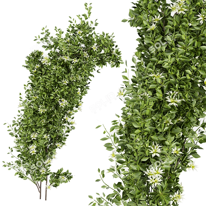 Premium Plant Collection for Outdoor Landscaping 3D model image 4