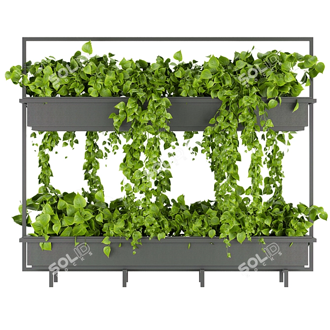 Pothos Green Indoor Plant 3D Model 3D model image 4