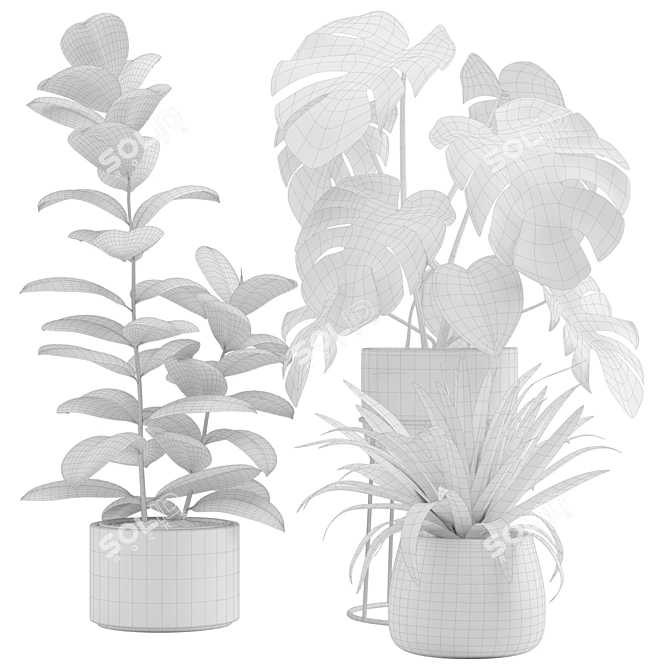 Exotic Indoor Plant Pack Collection 3D model image 3