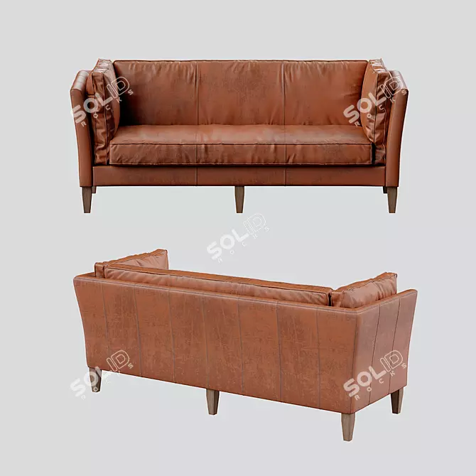 Premium Leather Straight Sofa Div-703 3D model image 1