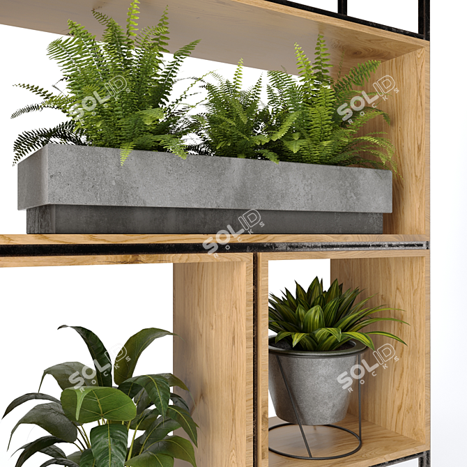 Urban Jungle Collection Nim10 3D model image 3