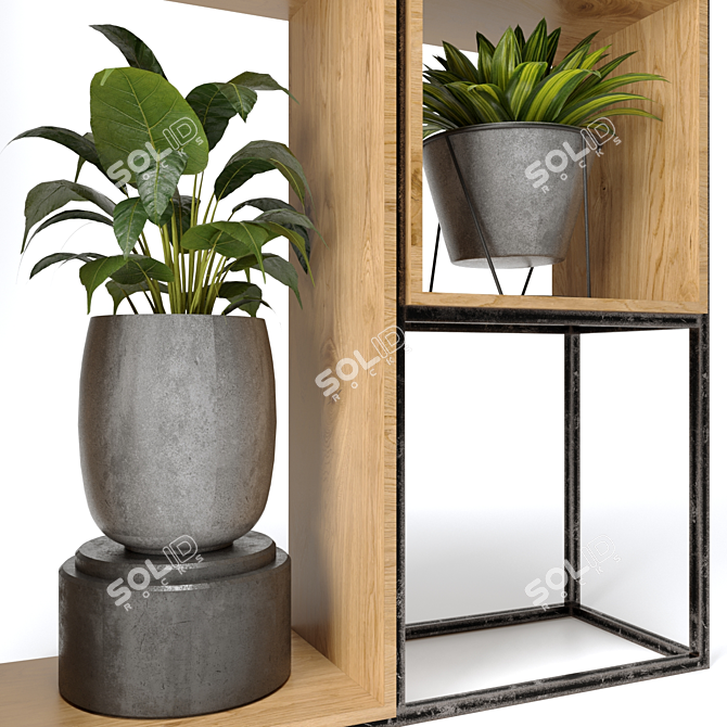 Urban Jungle Collection Nim10 3D model image 4