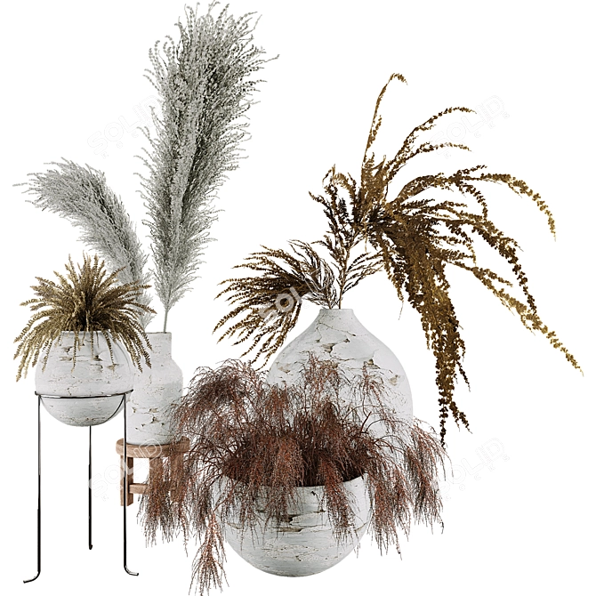 3D Plant Collection Set Max FBX 3D model image 2