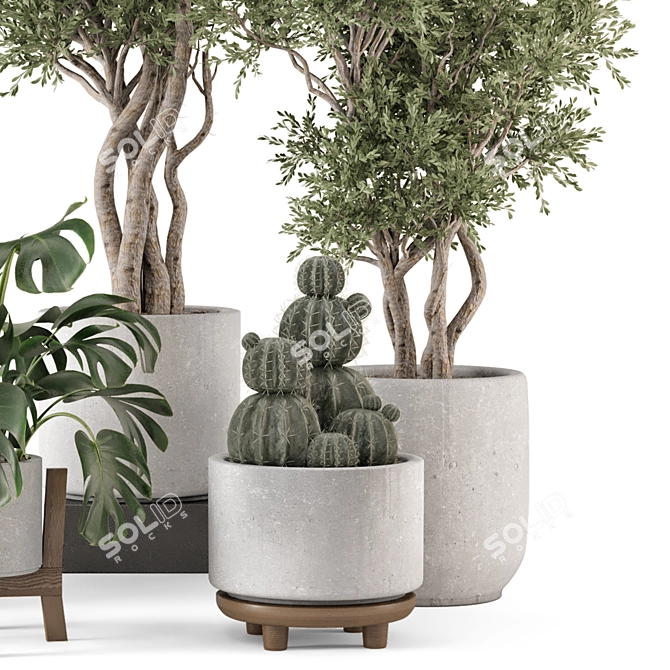 Ferm Living Bau Indoor Plant 3D model image 2