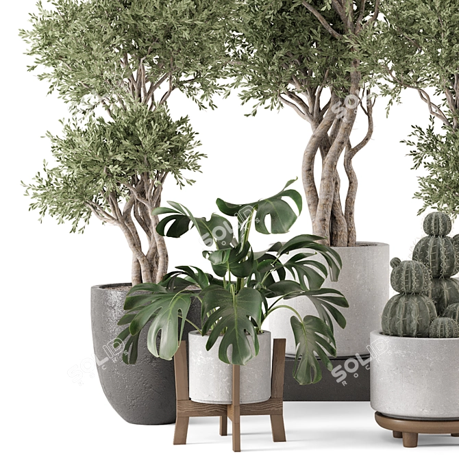 Ferm Living Bau Indoor Plant 3D model image 5