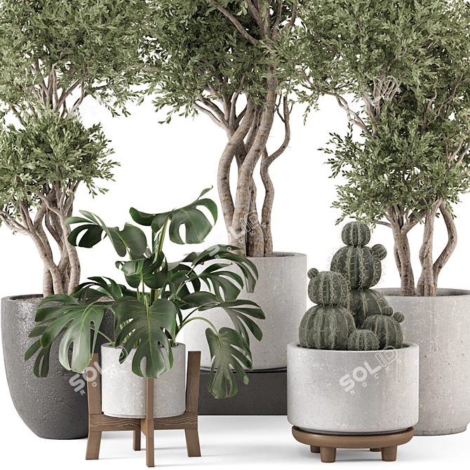 Ferm Living Bau Indoor Plant 3D model image 6