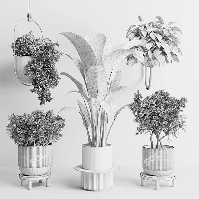 Wall Plant Collection 213 3D model image 6