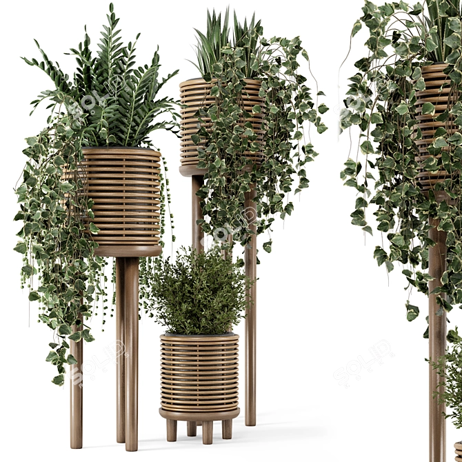 Natural Rattan Indoor Plant Set 3D model image 1