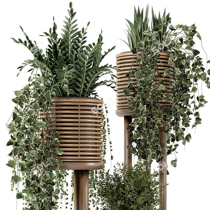 Natural Rattan Indoor Plant Set 3D model image 2