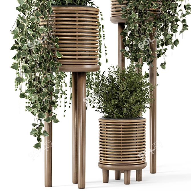 Natural Rattan Indoor Plant Set 3D model image 3