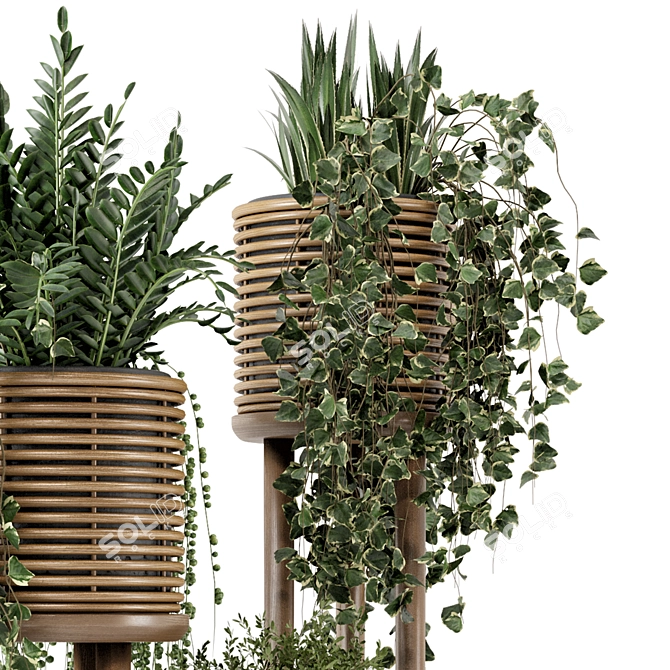 Natural Rattan Indoor Plant Set 3D model image 4