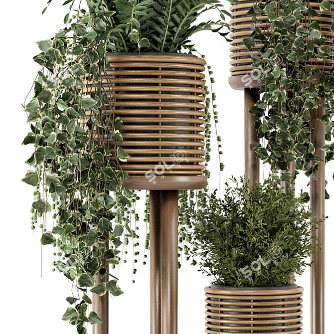 Natural Rattan Indoor Plant Set 3D model image 5