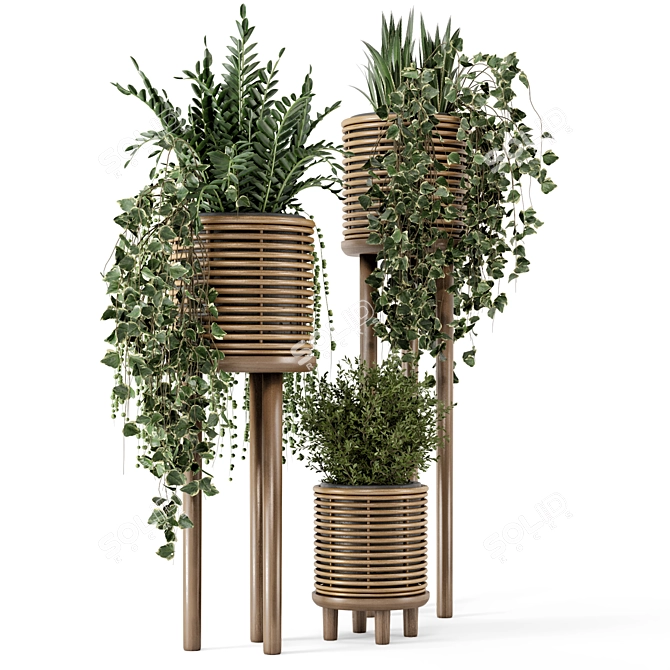 Natural Rattan Indoor Plant Set 3D model image 6