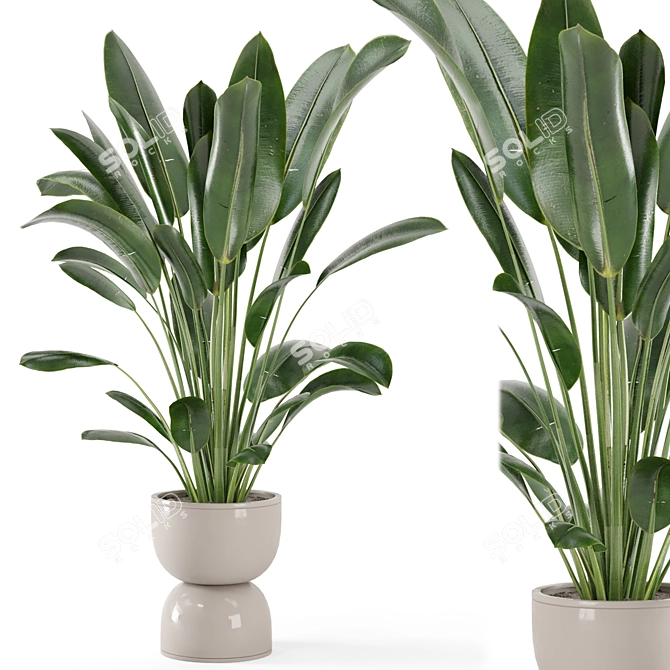 Rustic Indoor Plants Set 652 3D model image 1