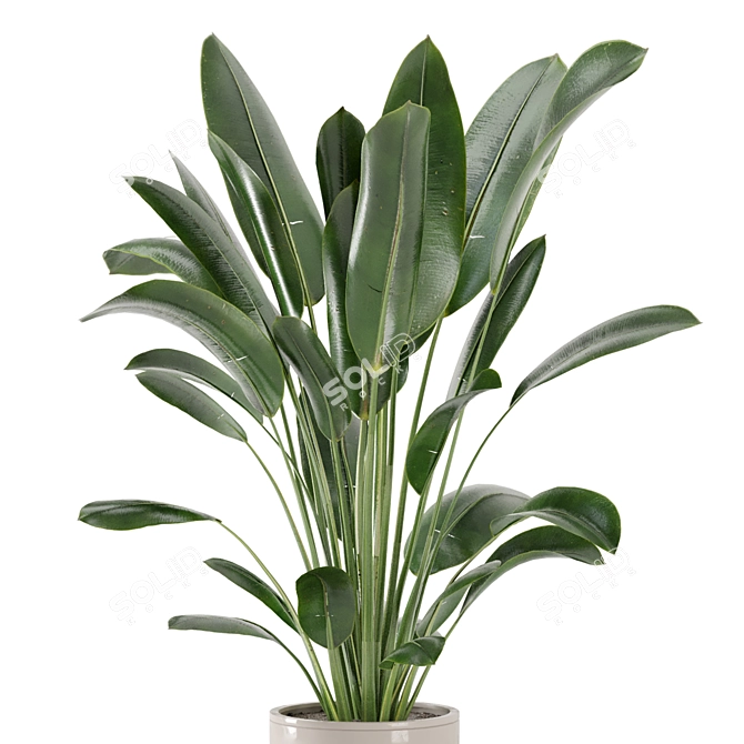 Rustic Indoor Plants Set 652 3D model image 2