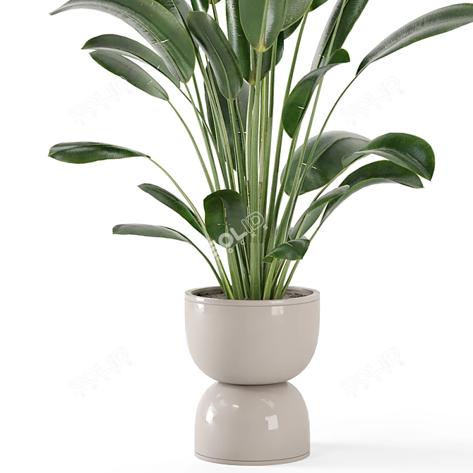 Rustic Indoor Plants Set 652 3D model image 3