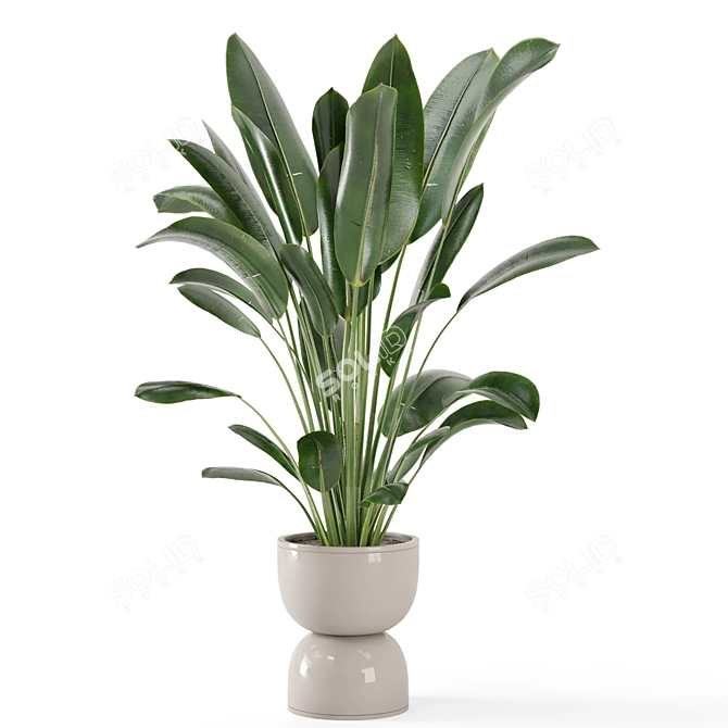 Rustic Indoor Plants Set 652 3D model image 4