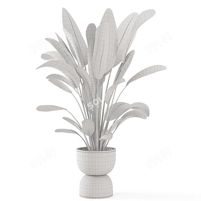 Rustic Indoor Plants Set 652 3D model image 5