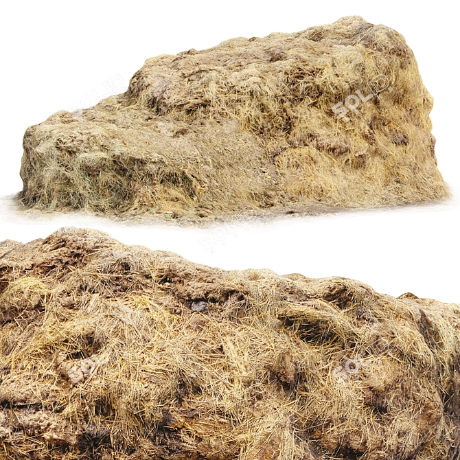 Manure Hay 3D Scan 3D model image 1