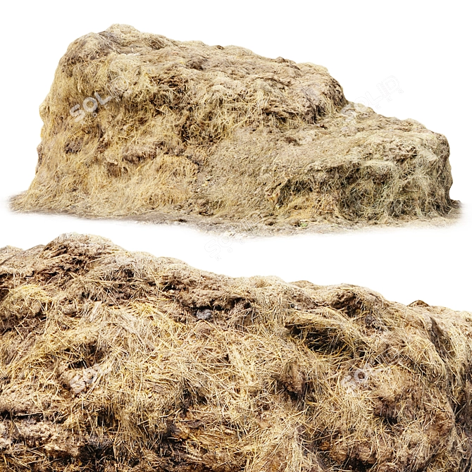 Manure Hay 3D Scan 3D model image 2
