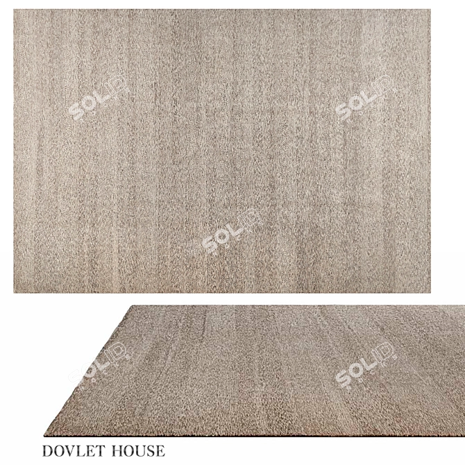 Indian Wool Rug 16496 3D model image 1