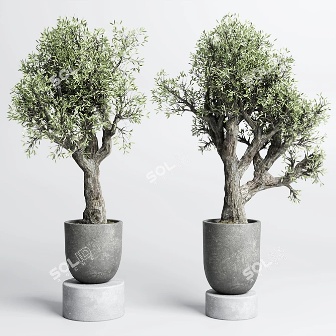 Concrete Old Olive Tree Vase 3D model image 4