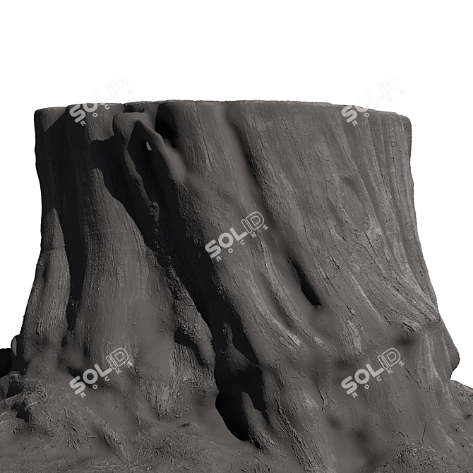  Wood Stump 3D Scan 3D model image 5