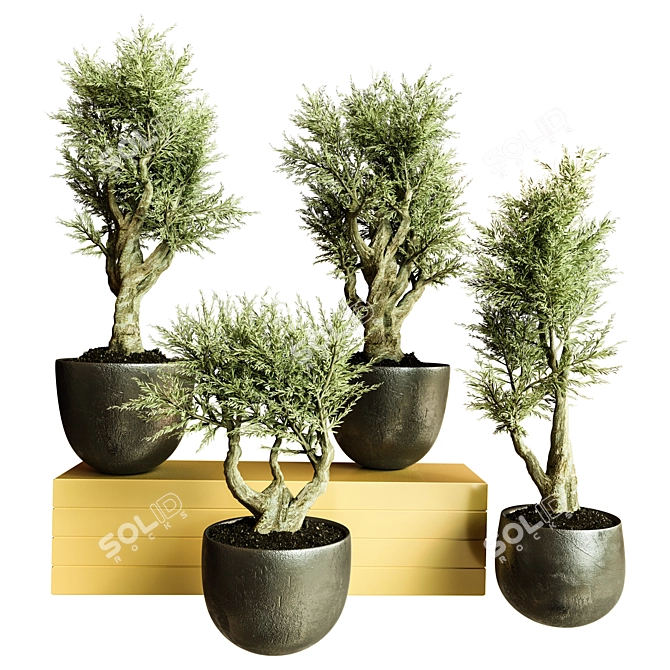 Modern Indoor Plant Collection 72 3D model image 1