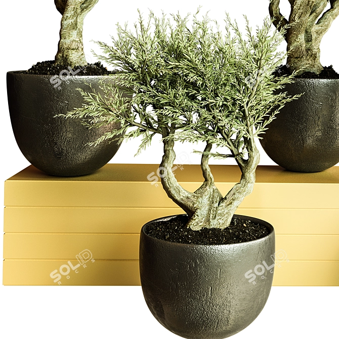 Modern Indoor Plant Collection 72 3D model image 3