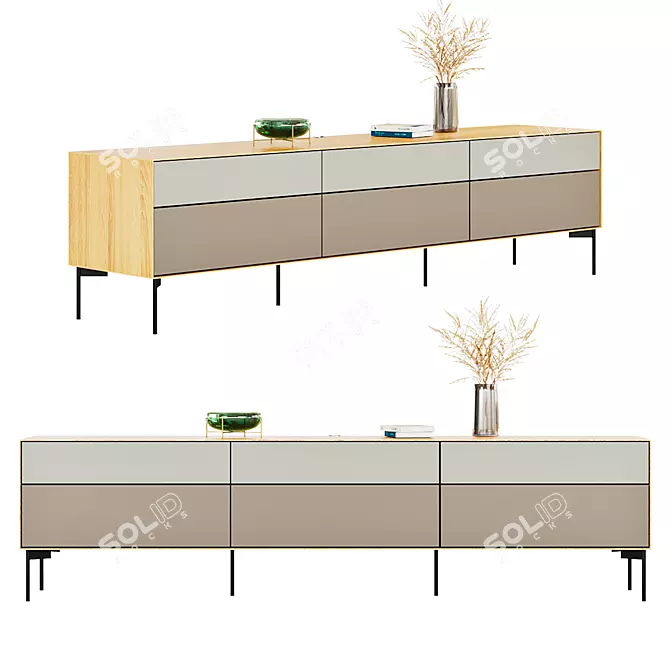 Modern TV Stand Borge 3D model image 1