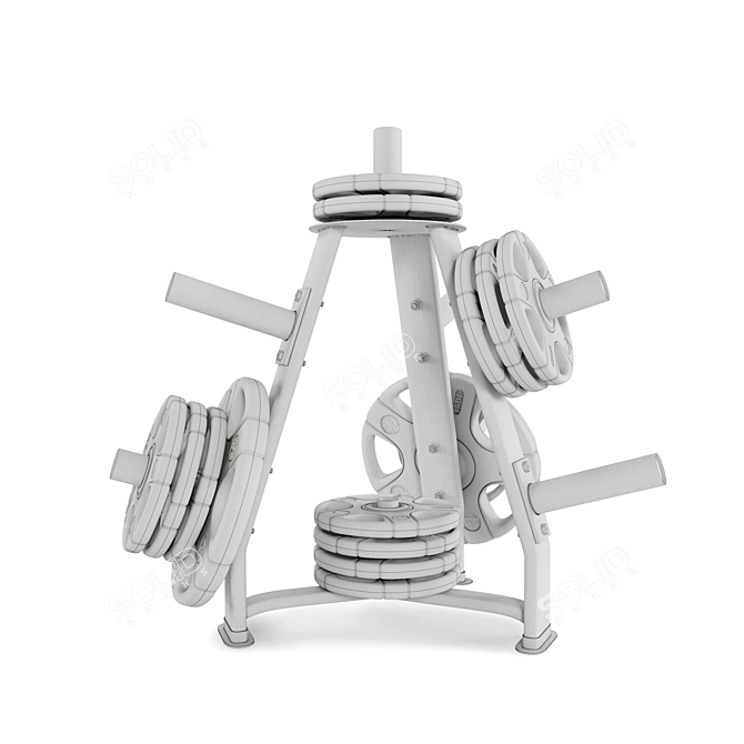 Fitness Disc Rack 2017 Version 3D model image 4