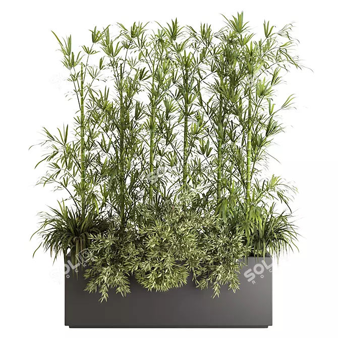 Bamboo Indoor Plant Set VI 3D model image 1