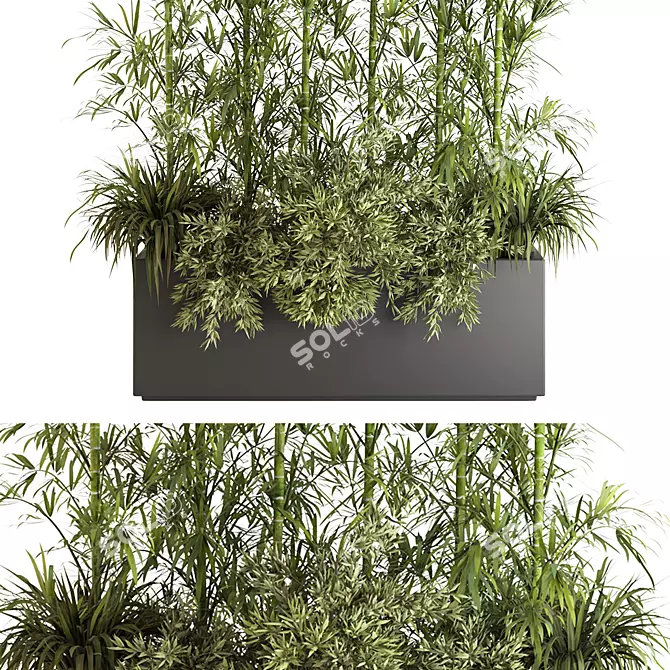 Bamboo Indoor Plant Set VI 3D model image 2