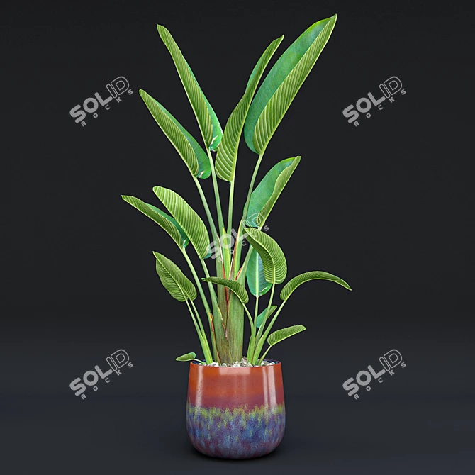 Tropical Indoor Plant Set 9 3D model image 2