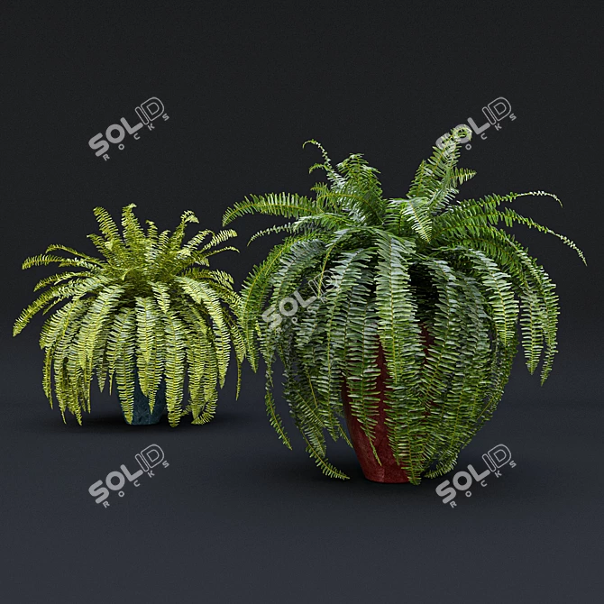 Tropical Indoor Plant Set 9 3D model image 5