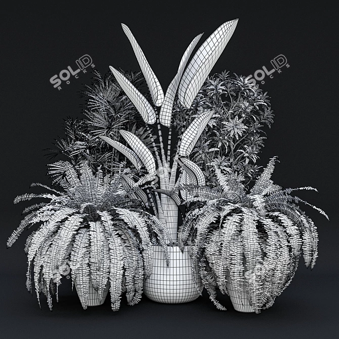 Tropical Indoor Plant Set 9 3D model image 6