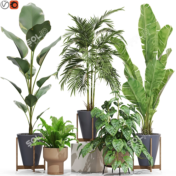 Botanical Bliss 3D Plants Set 3D model image 1